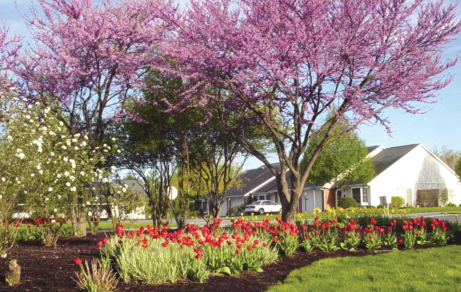 Cumberland Crossings Retirement Community