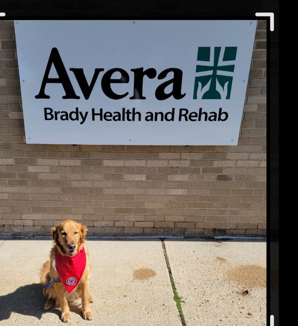 Avera Brady Health And Rehab