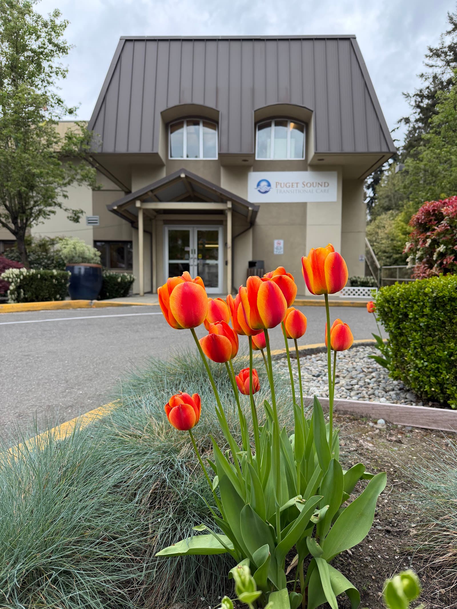 Puget Sound Transitional Care