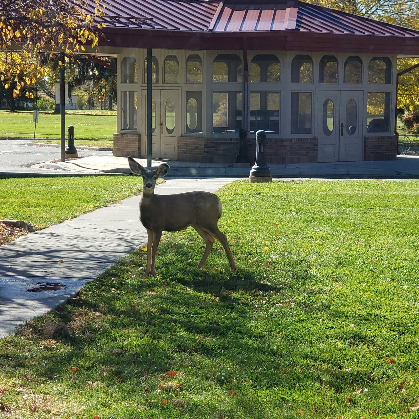 Wyoming Retirement Center