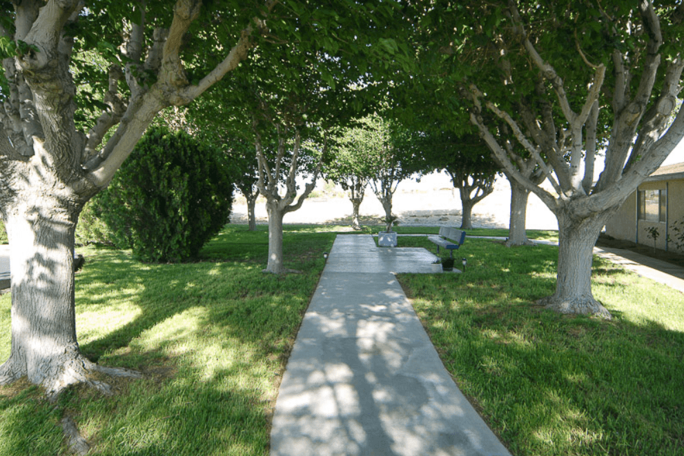 Mountain View Post Acute