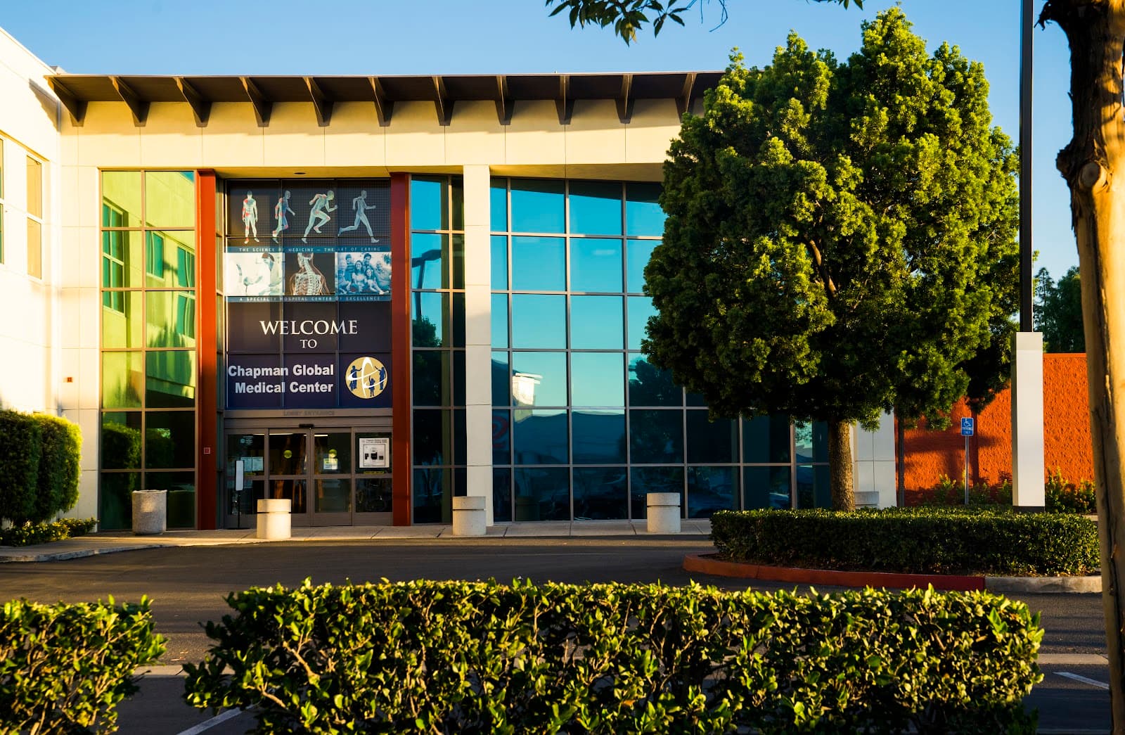 Chapman Global Medical Center D/P Snf