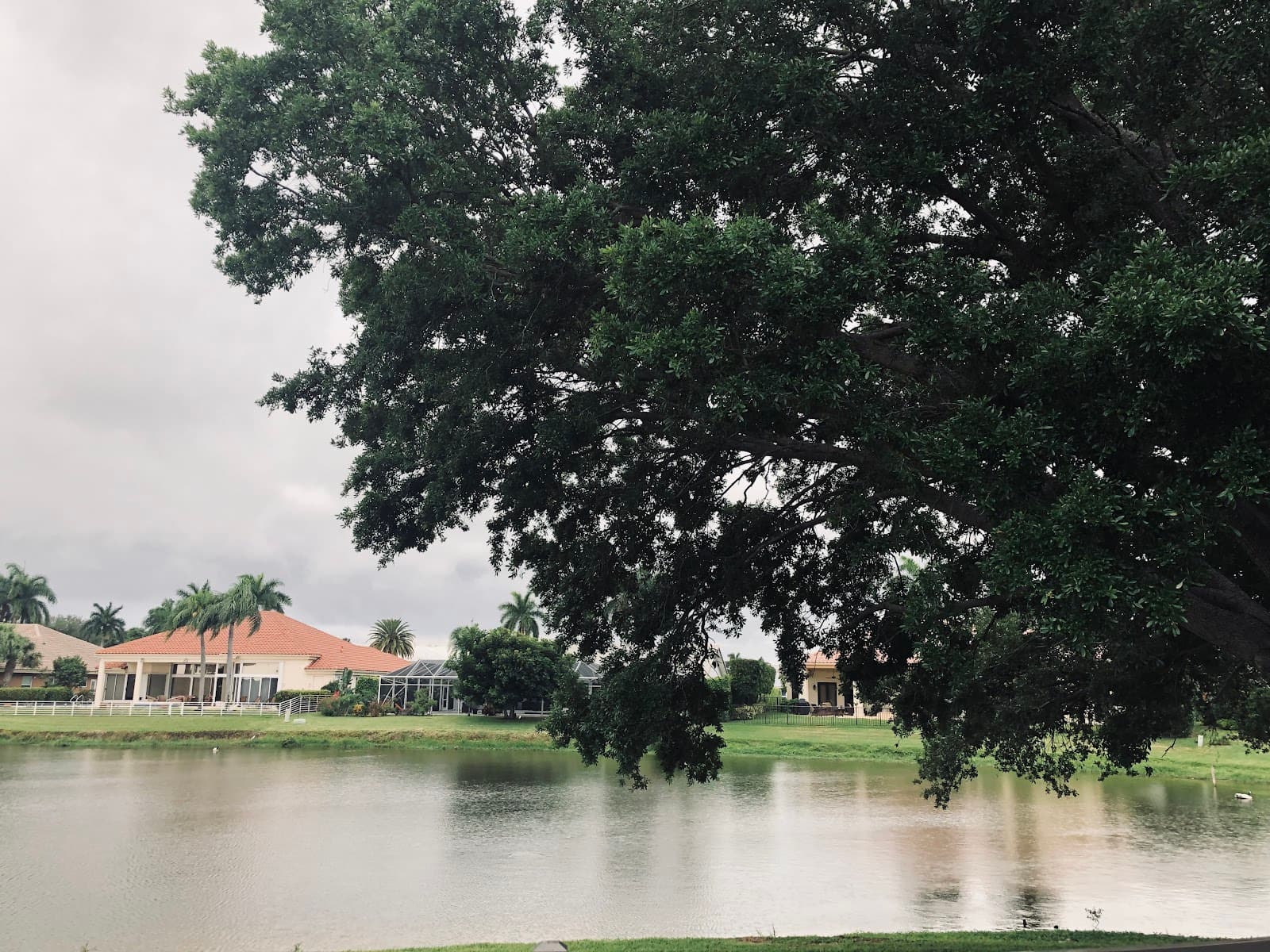 Golden Swan by the lake 6 Beds Boca/ Delray ALF & Memory Care