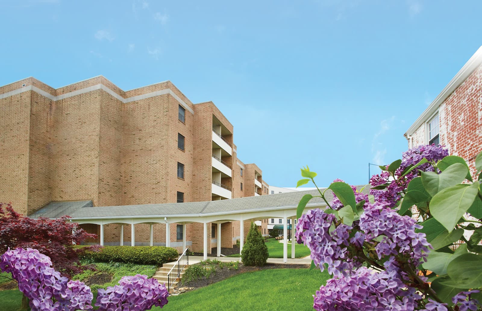 The Terrace at Phoebe Allentown - Independent Living