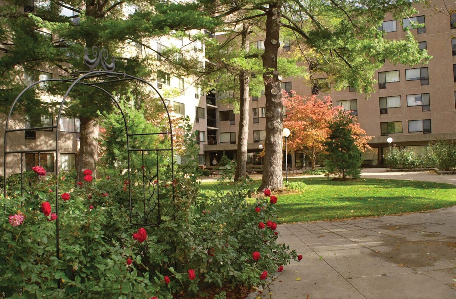 Linden Knoll