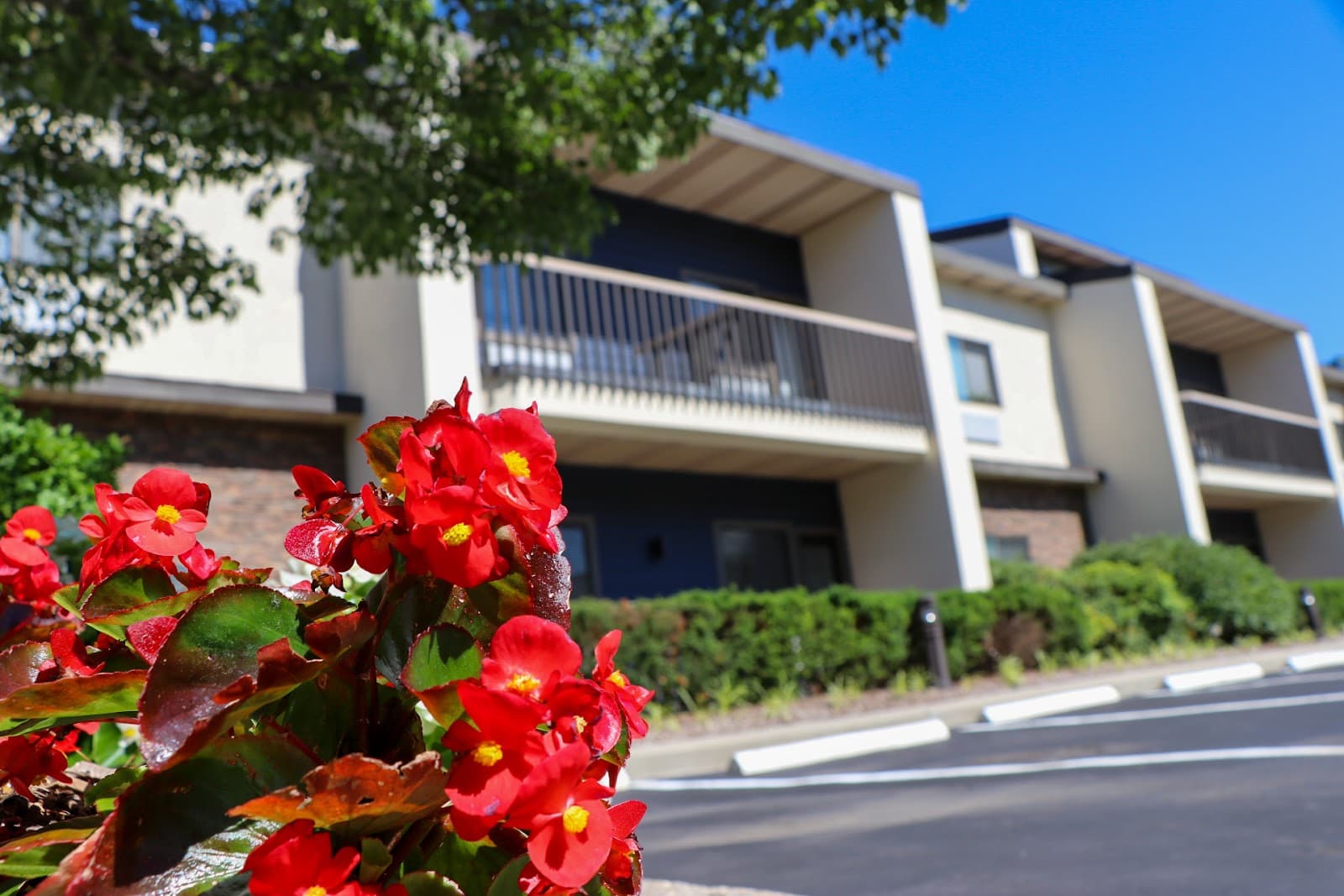 The Residences at Plainview