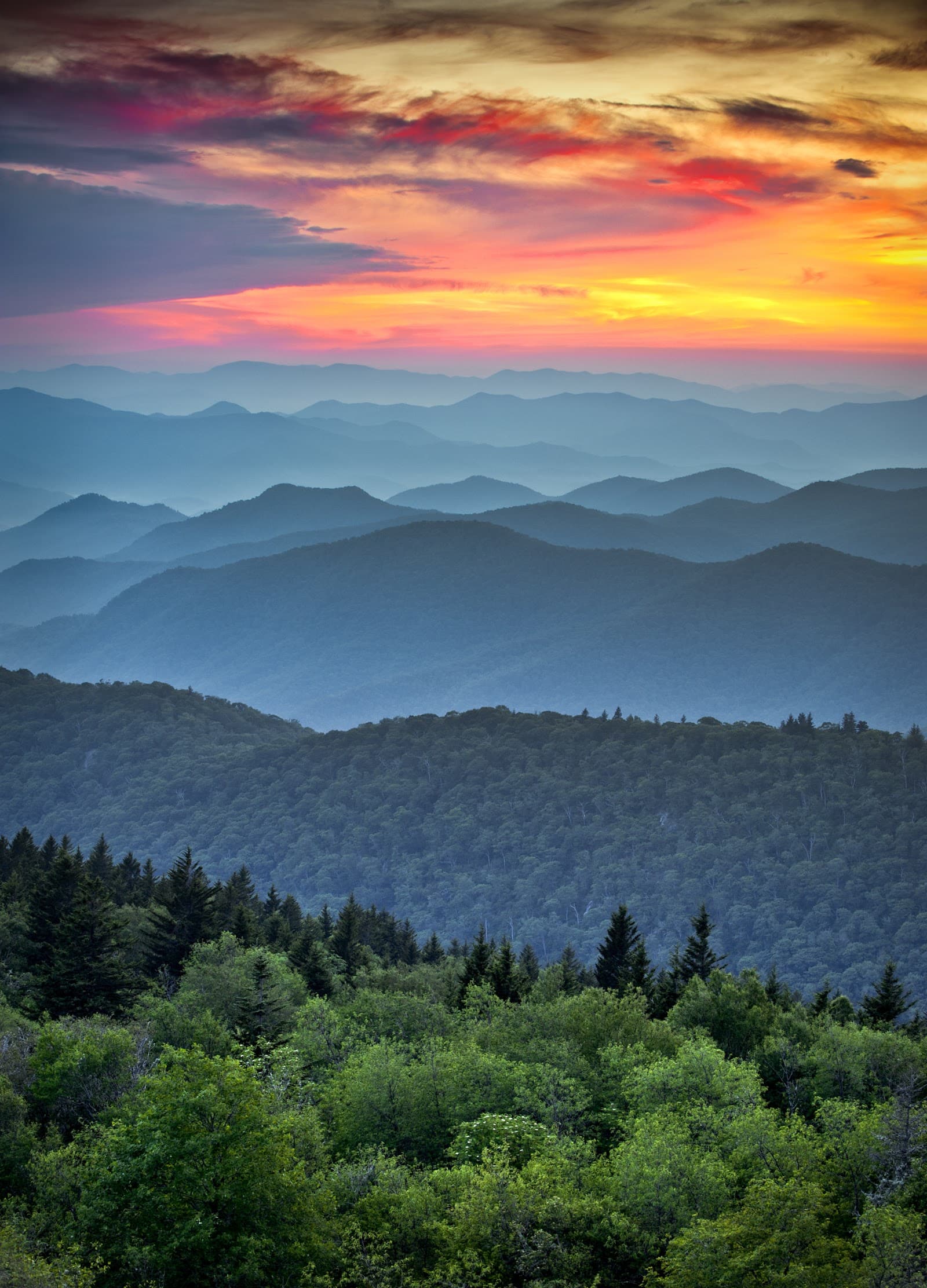 Carolina Living Choices