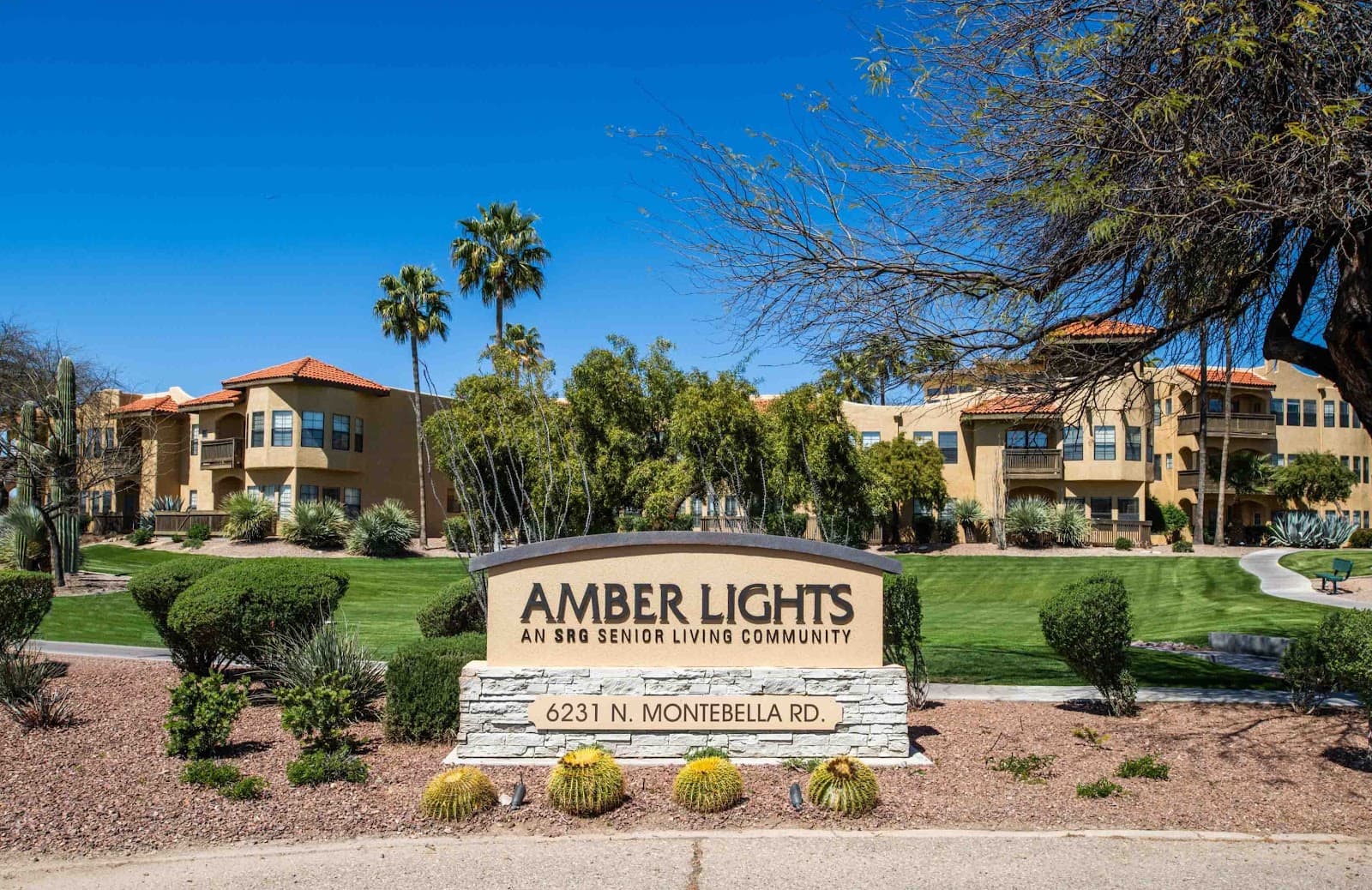 Amber Lights