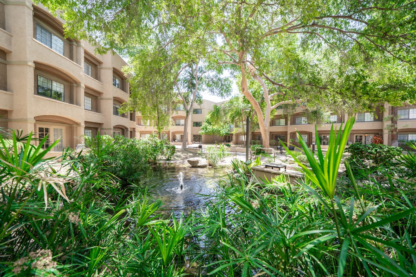 Thunderbird Assisted & Senior Living