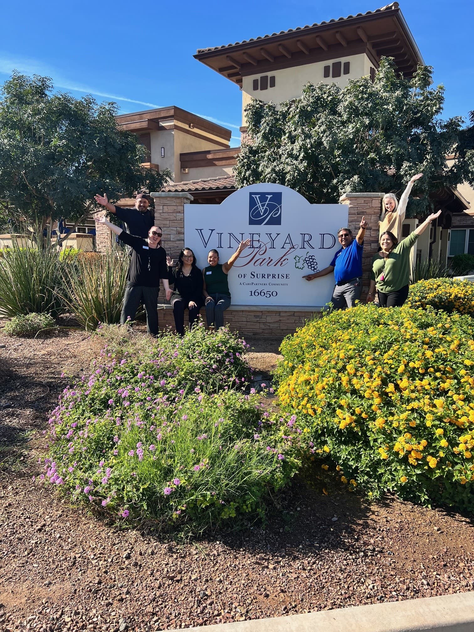 Vineyard Park Surprise