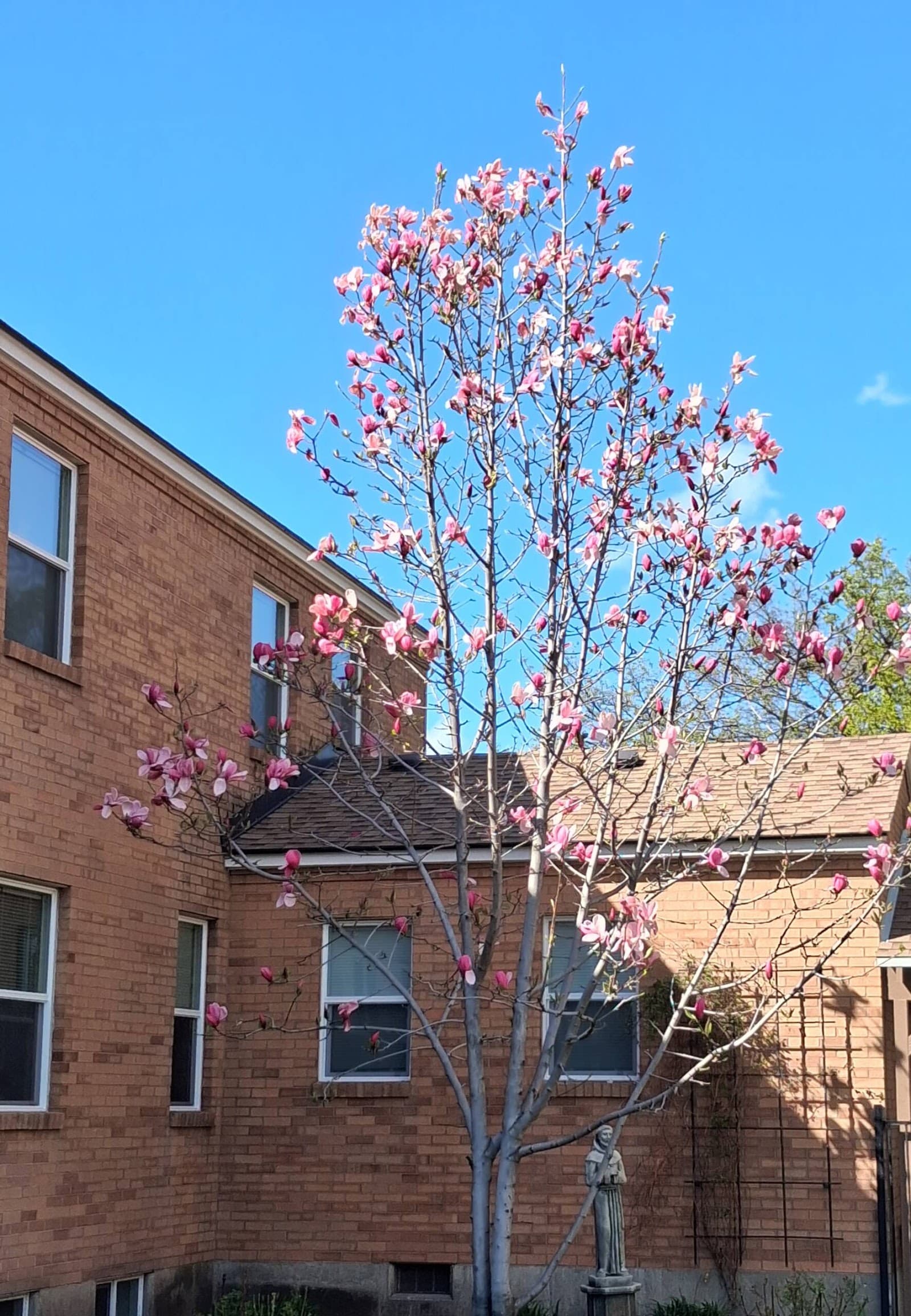 Rompa House Assisted Living