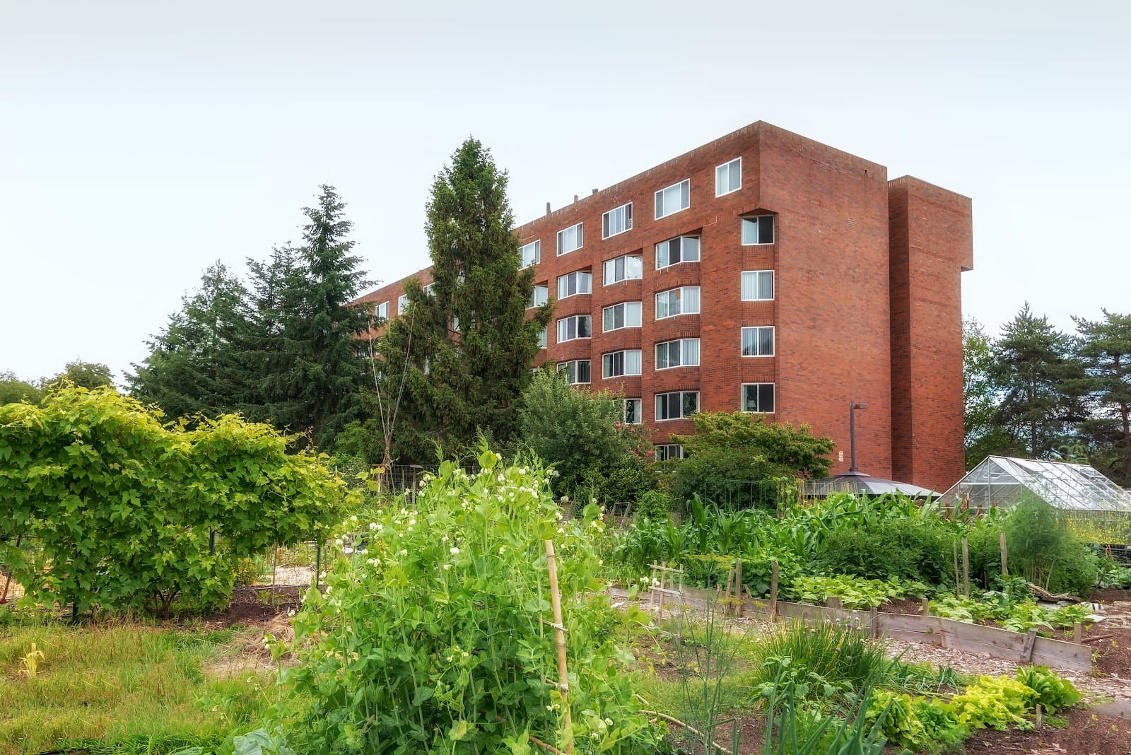 Life Manor Independent Living (Parkside)