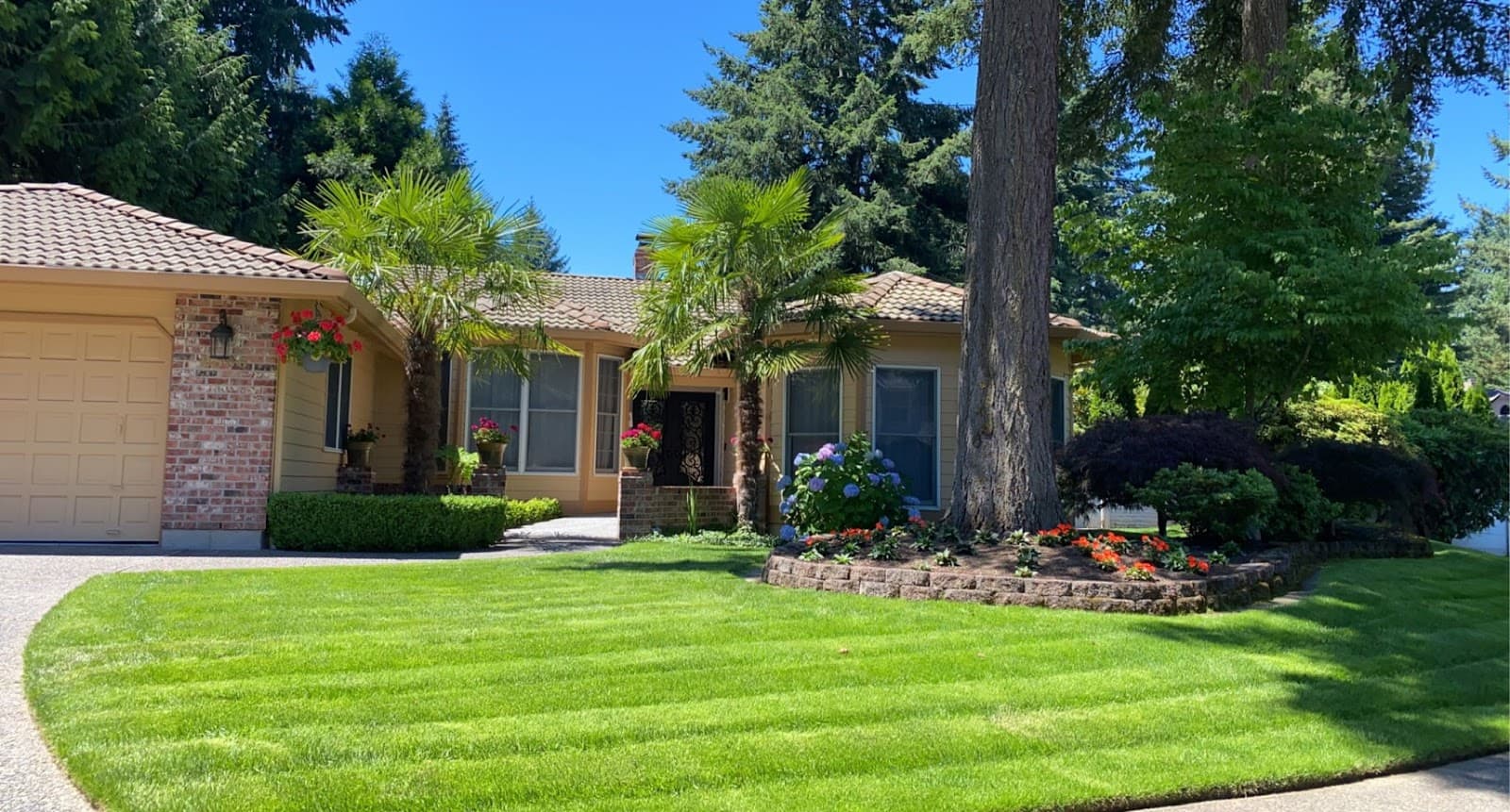 Magnolia Gardens Senior Care