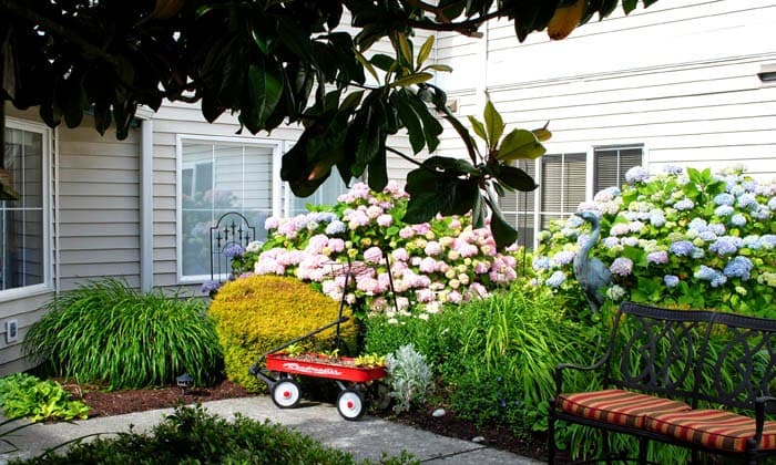 Highgate Senior Living - Bellingham