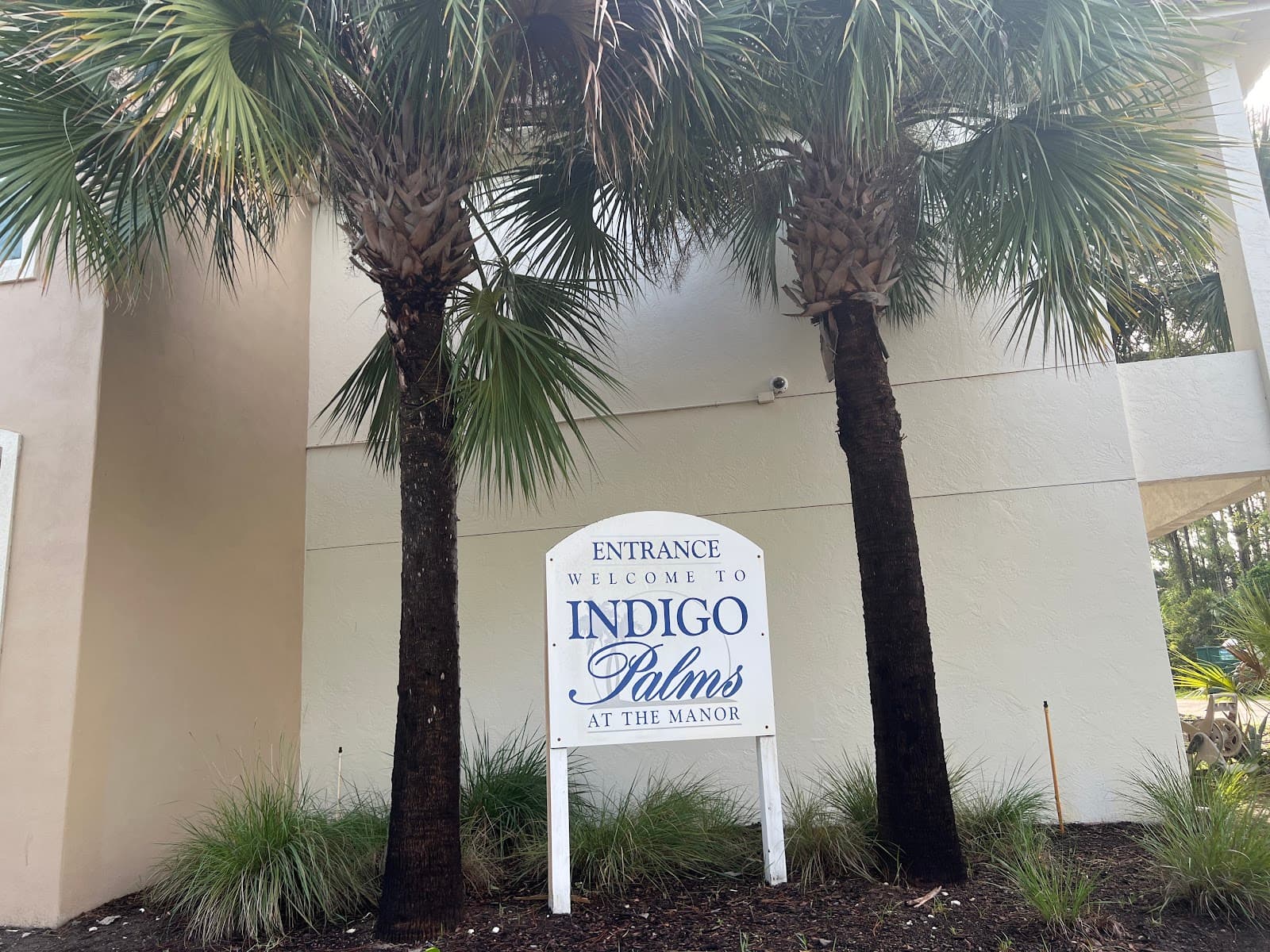 Indigo Palms