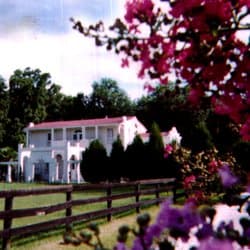 The Hacienda House Adult Family Care Home