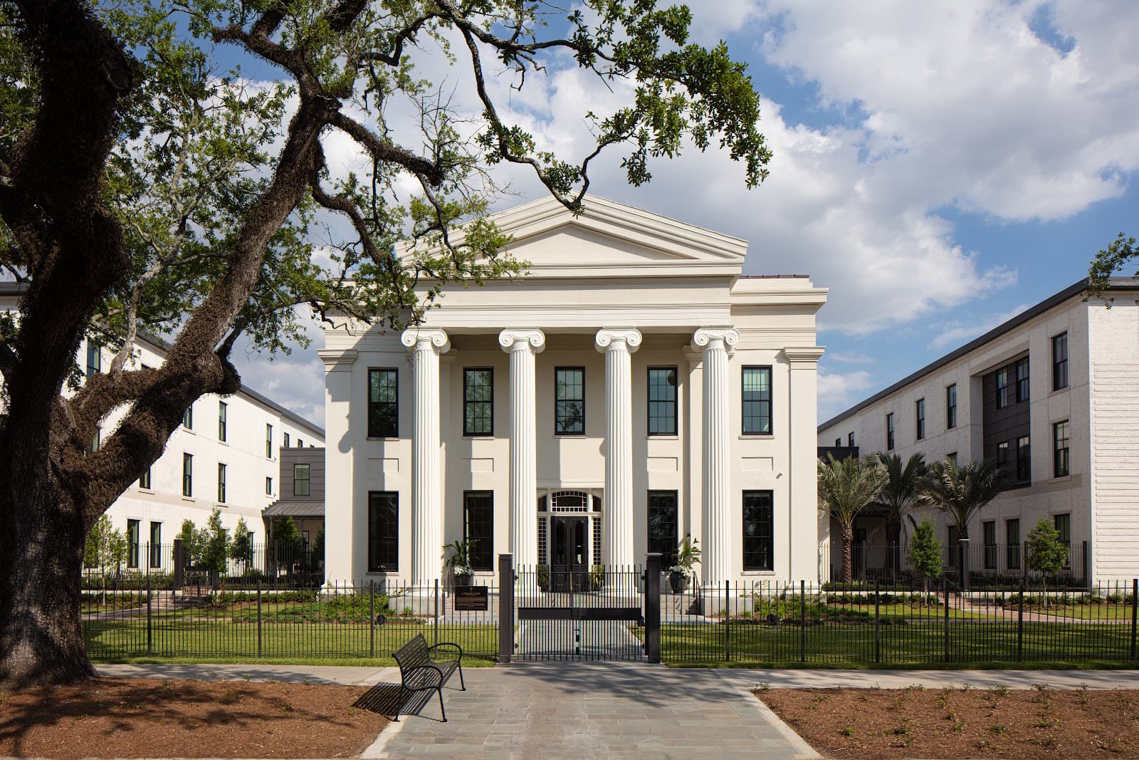 The Carrollton New Orleans