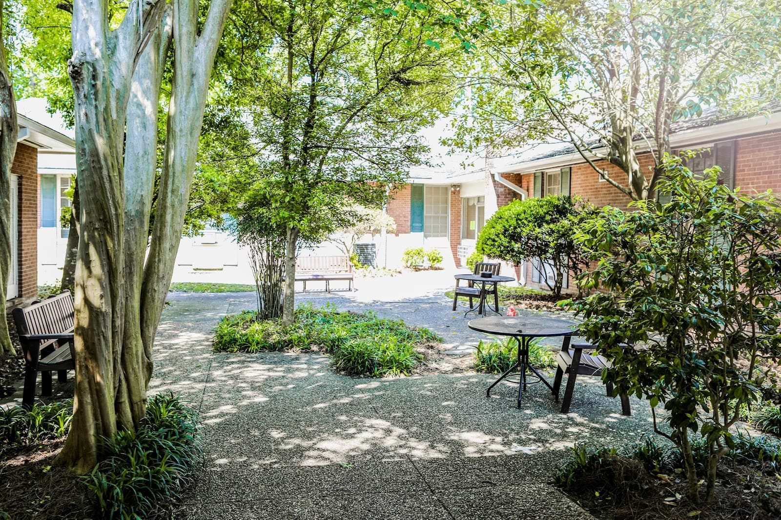 The Care Center