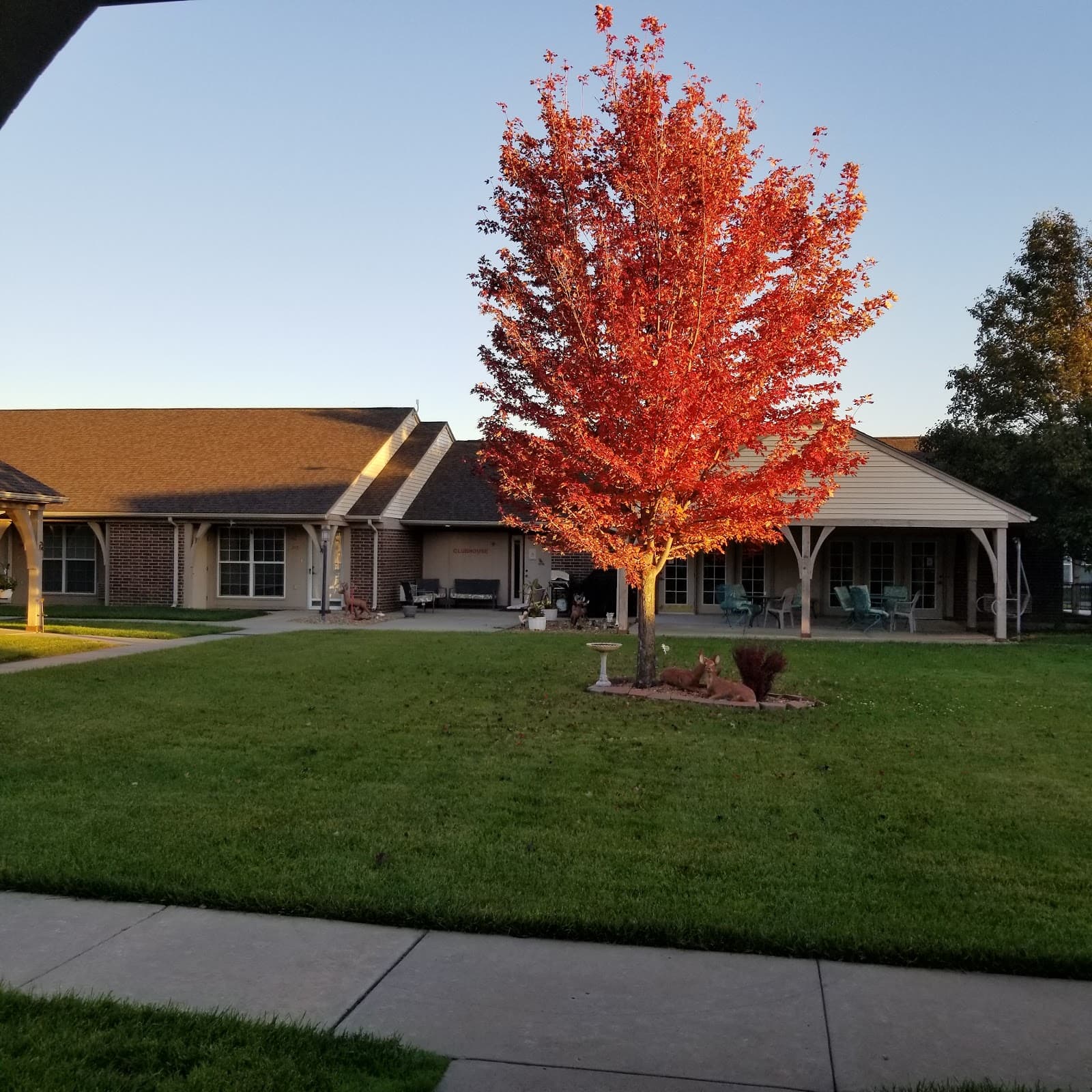 Phase 2 Clubhouse