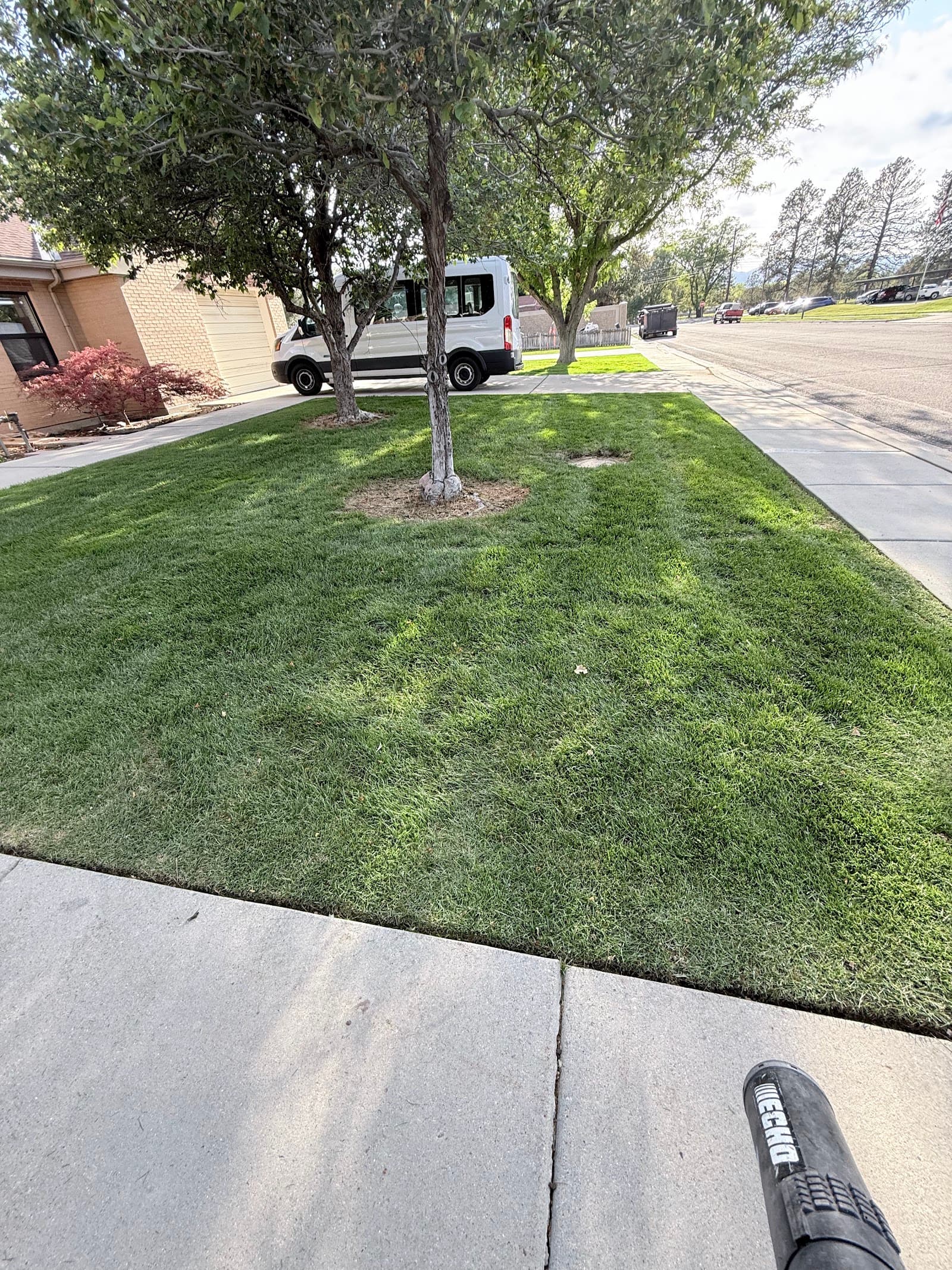 Willowood Apartments