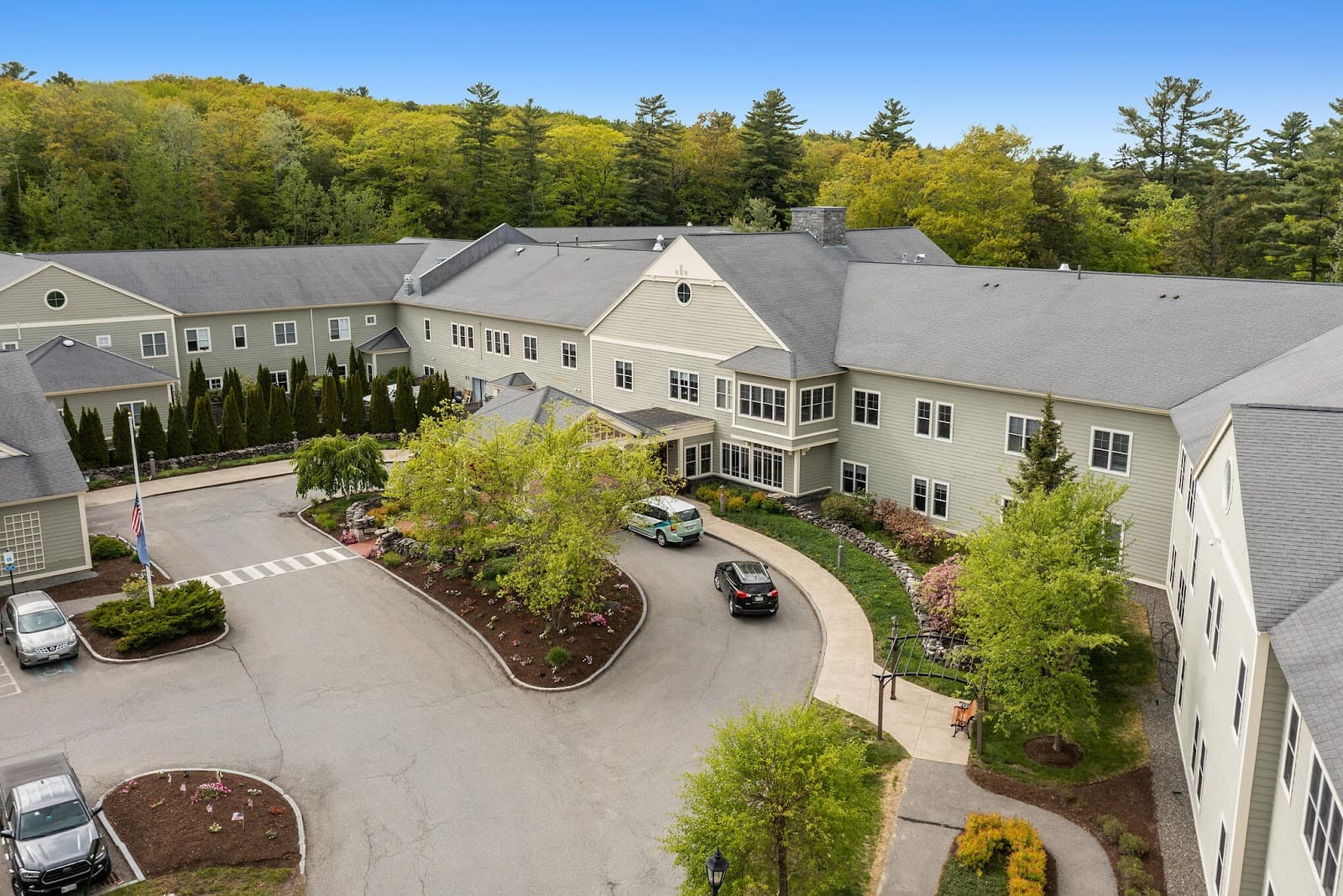 Dirigo Pines