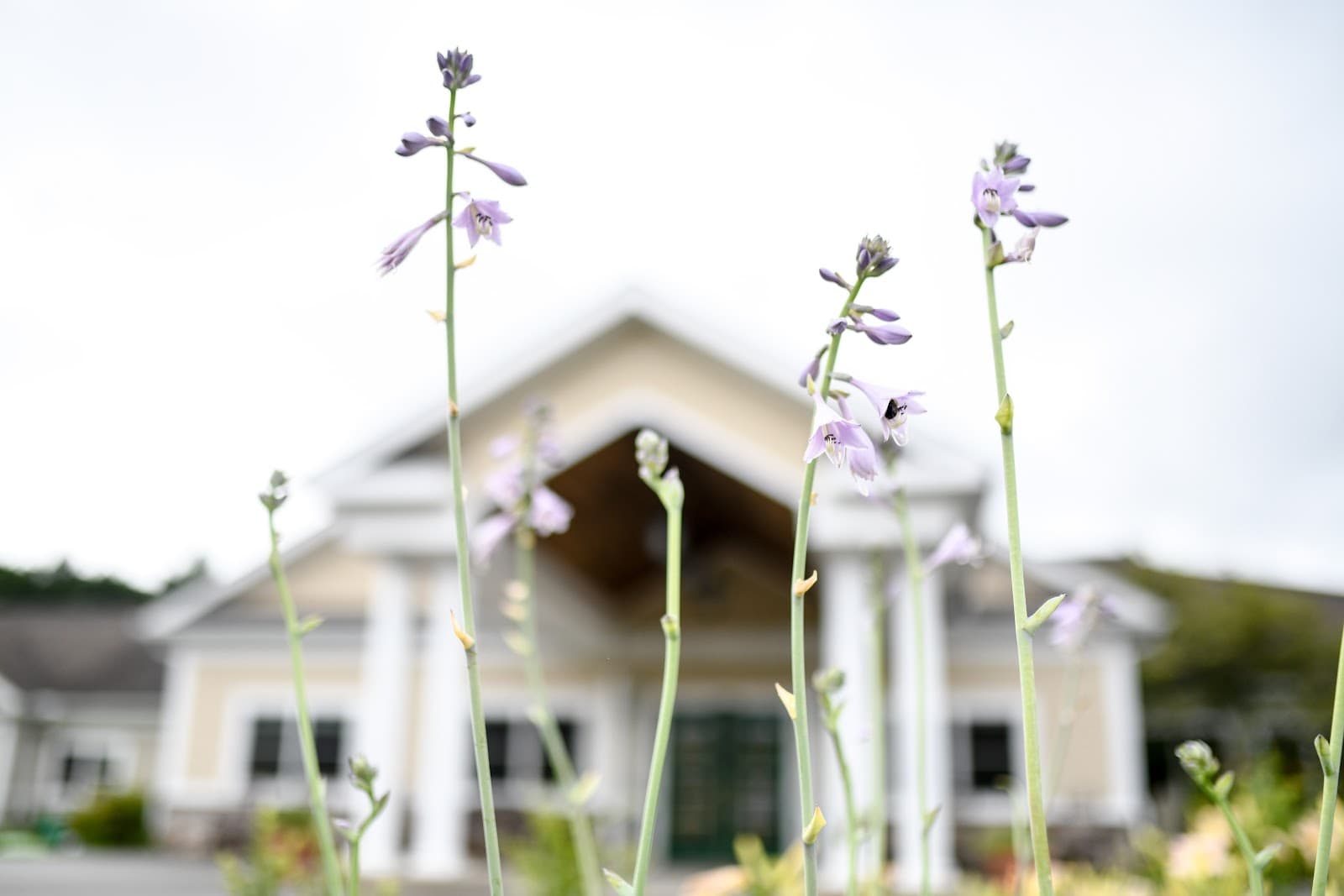 Bellamy Assisted Living