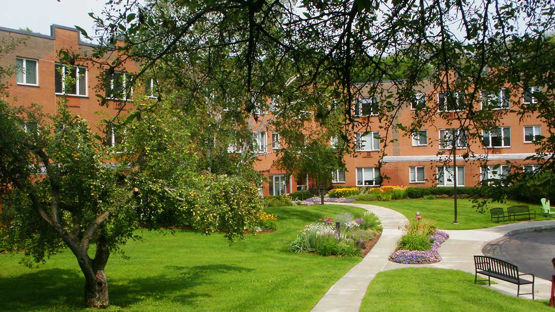 Fern Hill