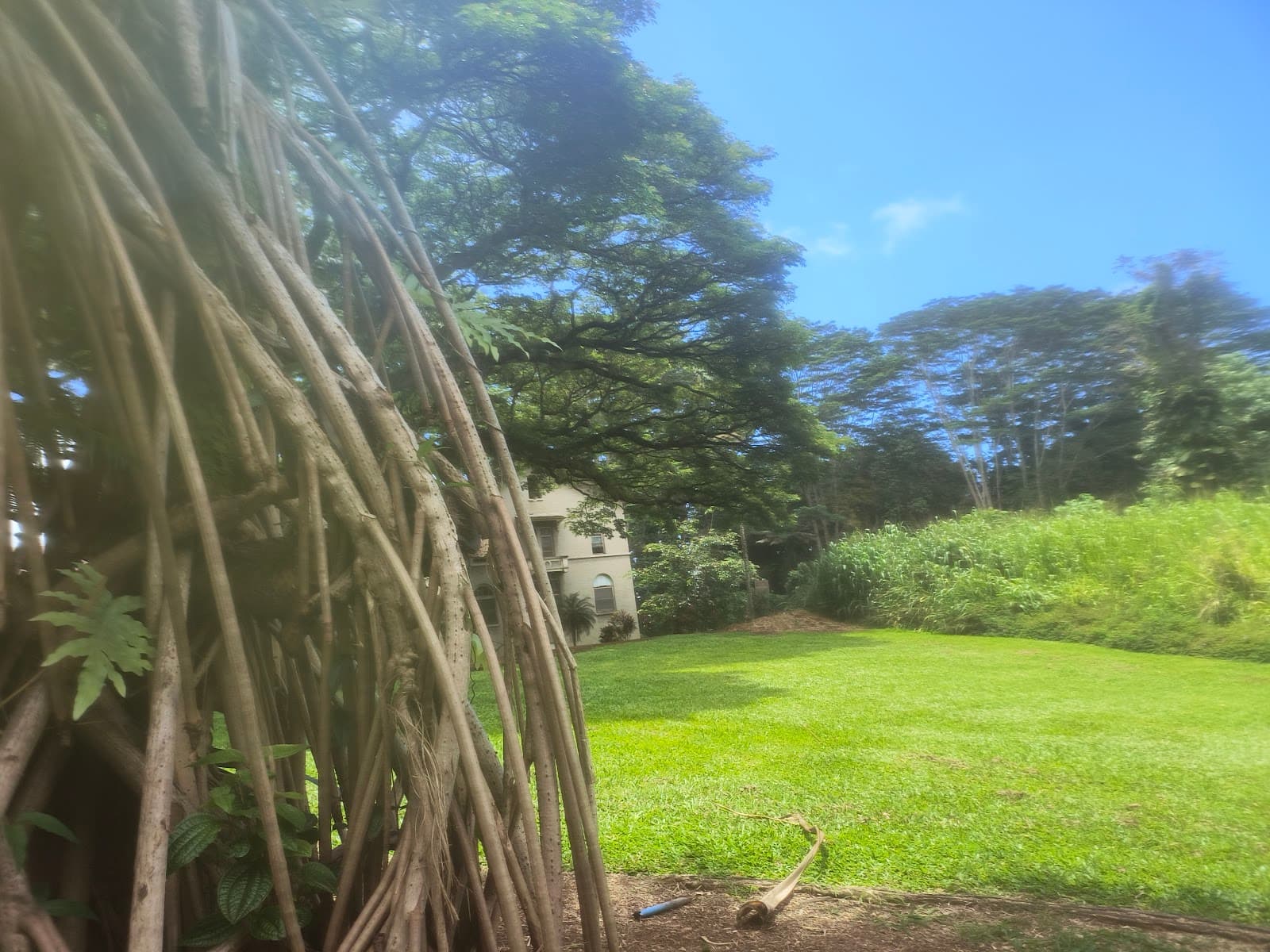 Hawai'i Care Choices