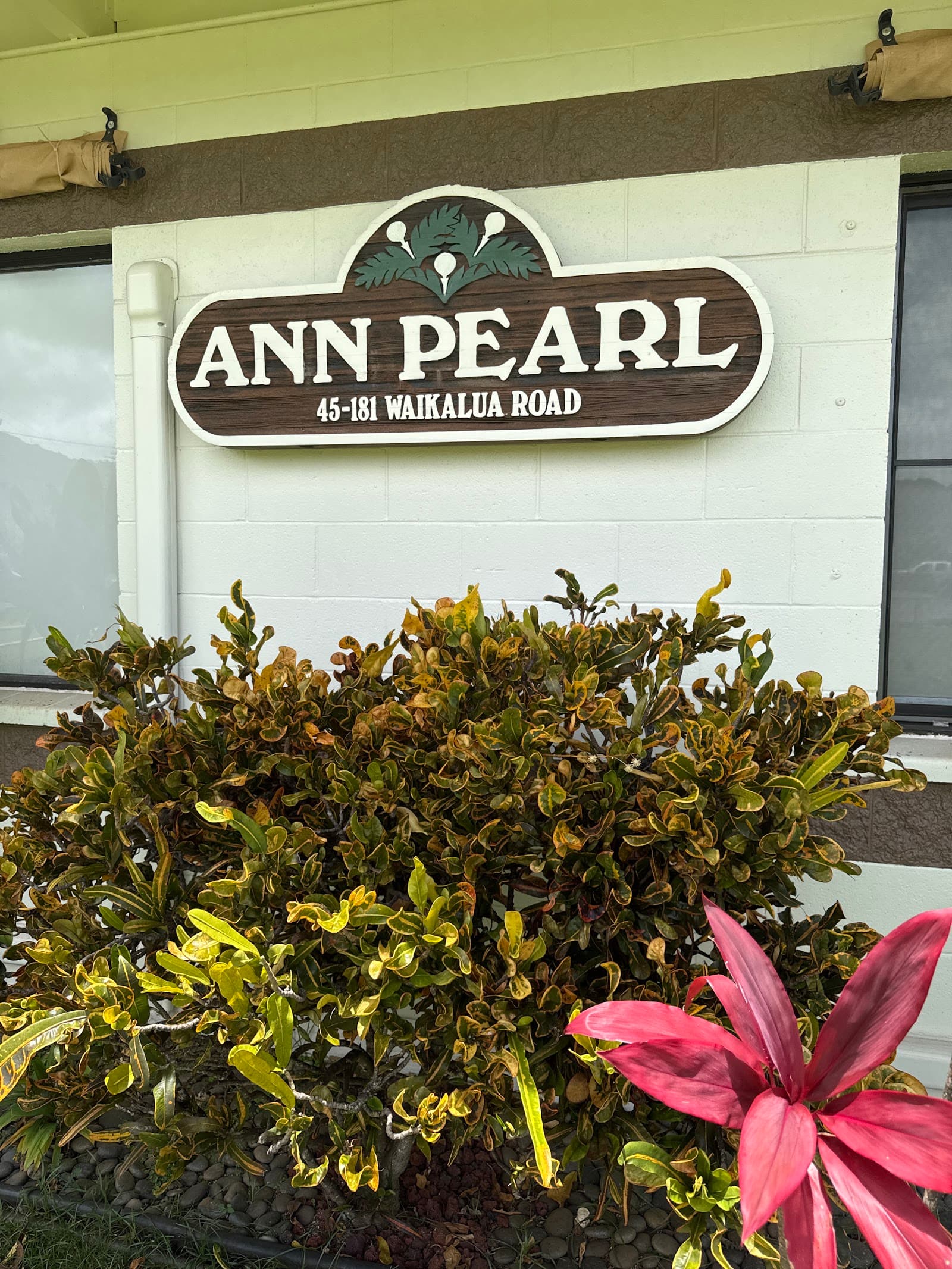 Ann Pearl Rehab & Nursing