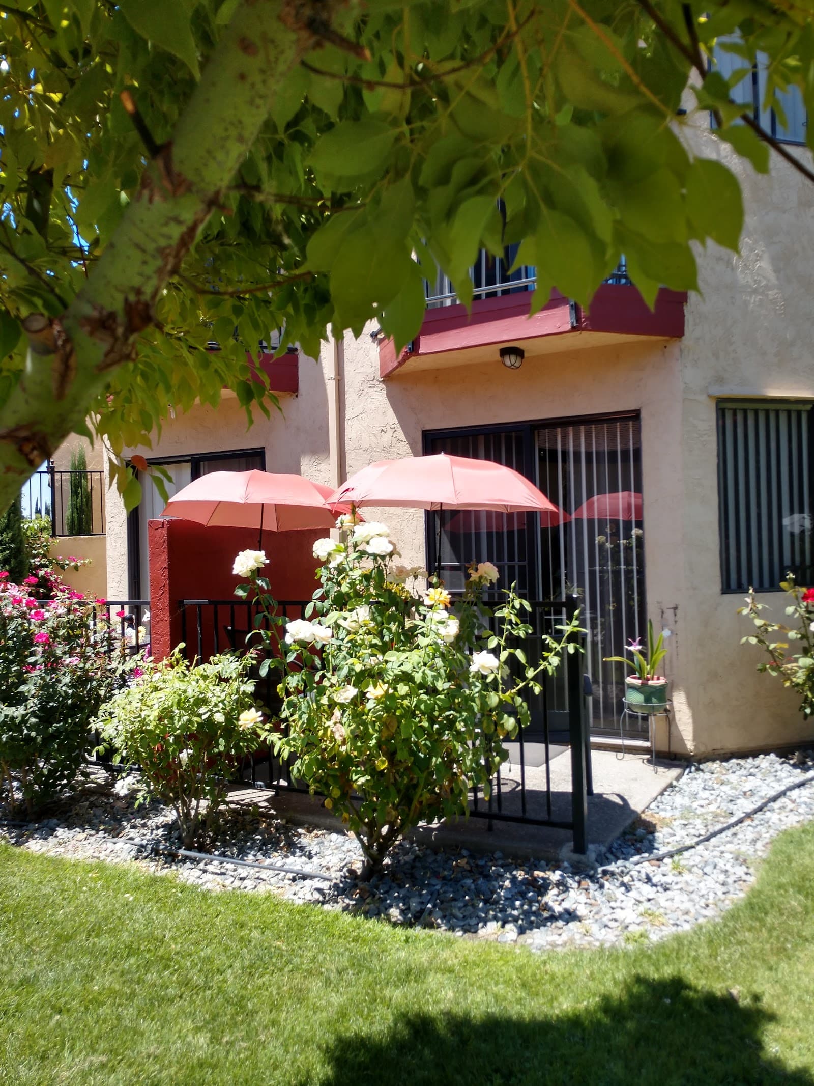 Courtyard At Venetian Terrace