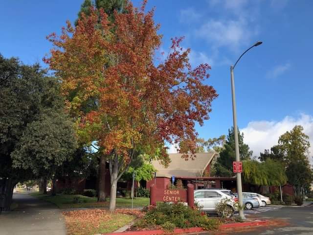 Age Well Center at Lake Elizabeth