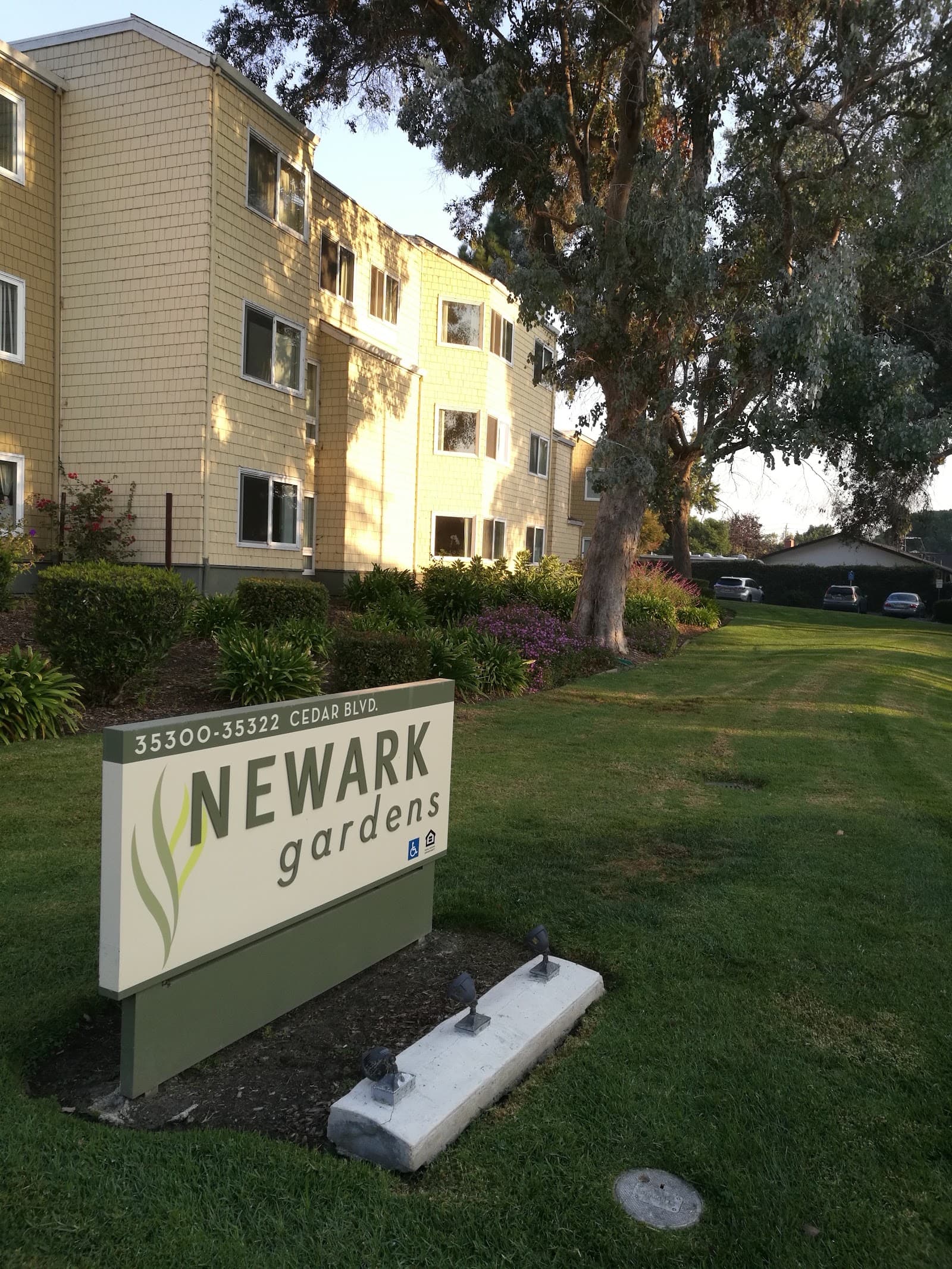 Newark Gardens I