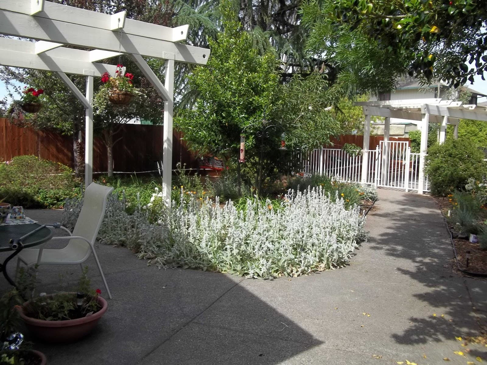 Wild Rose Care Home
