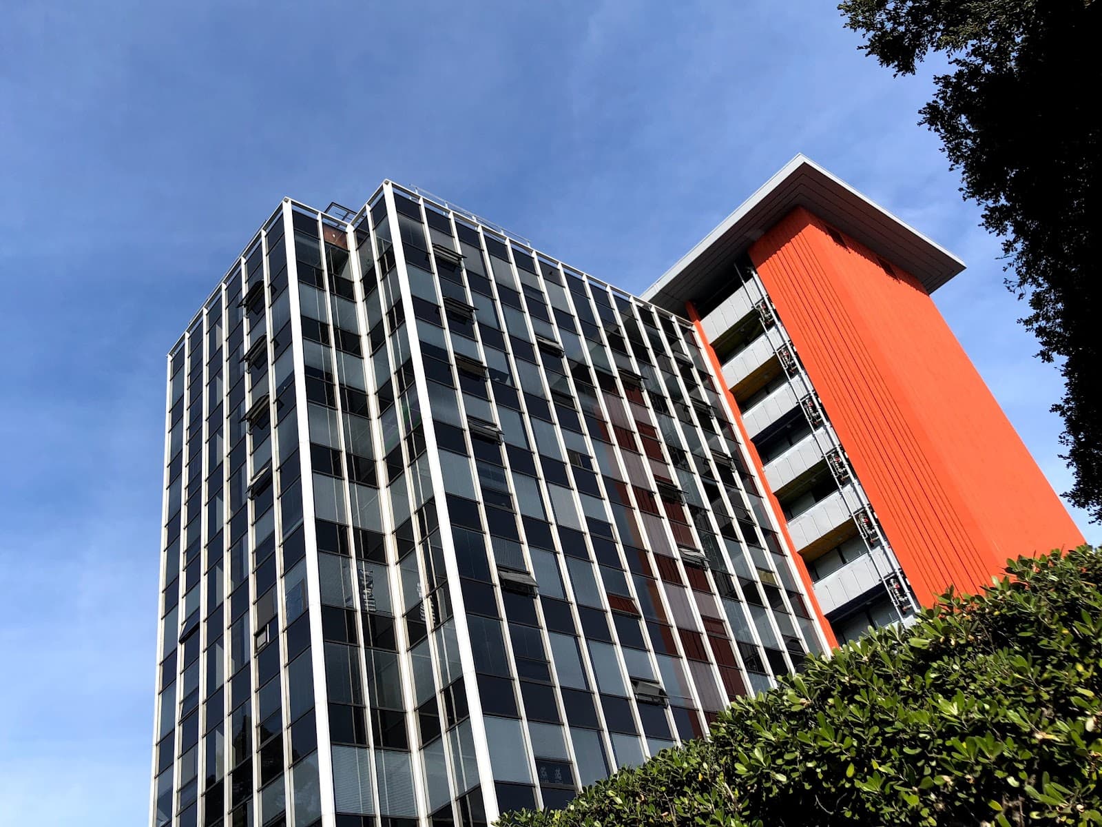 Lesley Towers