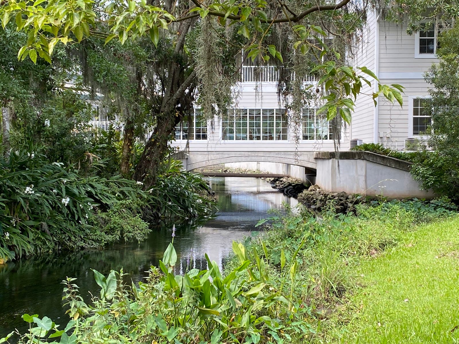 Cedar Creek