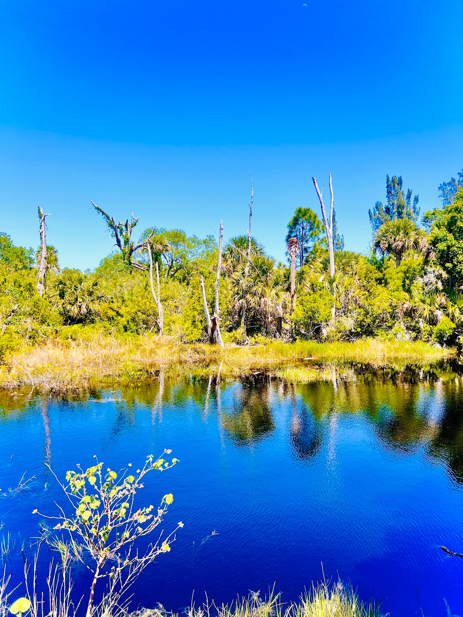 Hills Creek