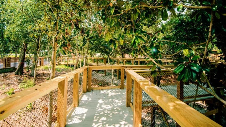 Beehive Homes of Gulf Breeze