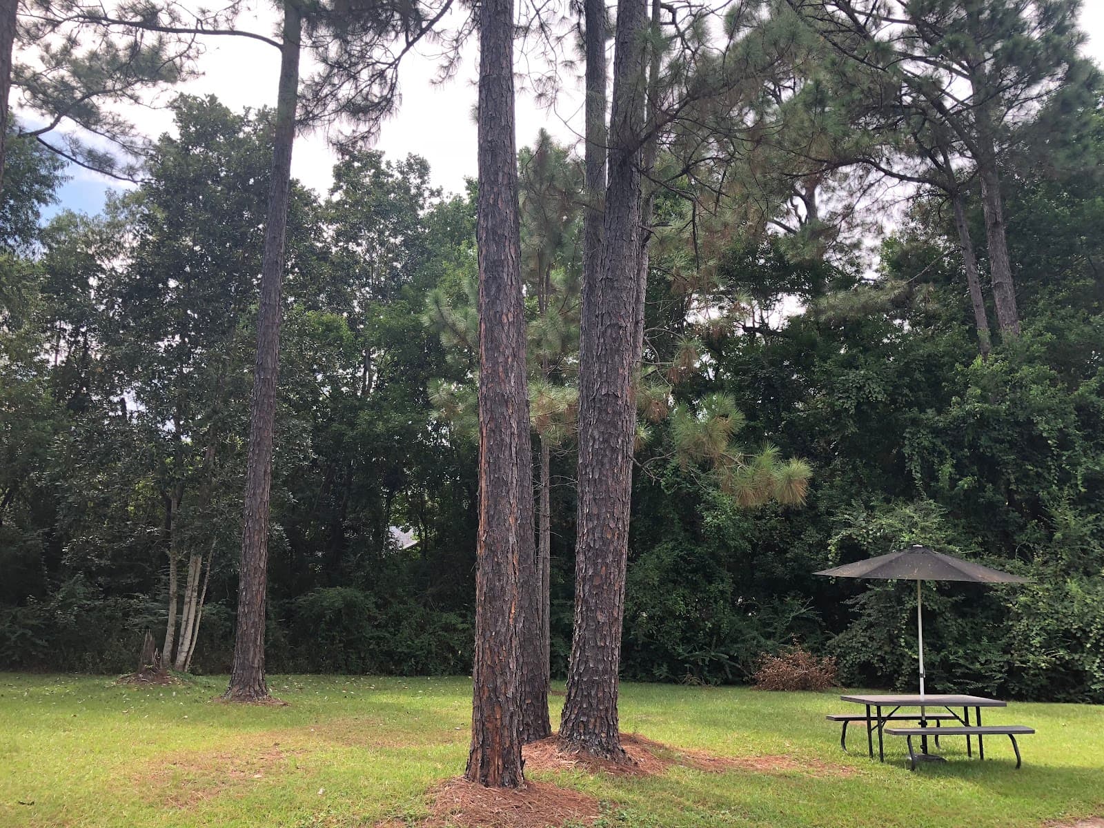 Whispering Pines Assisted Living Facility