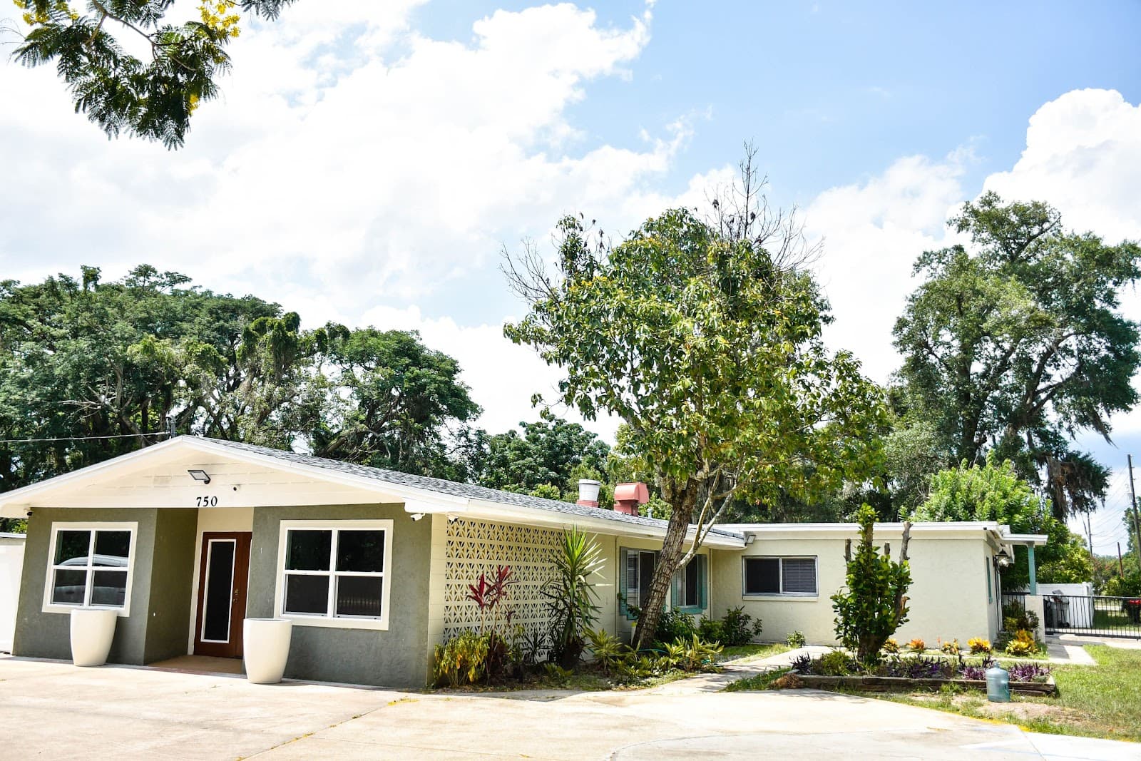 Longevity Healthcare Assisted Living