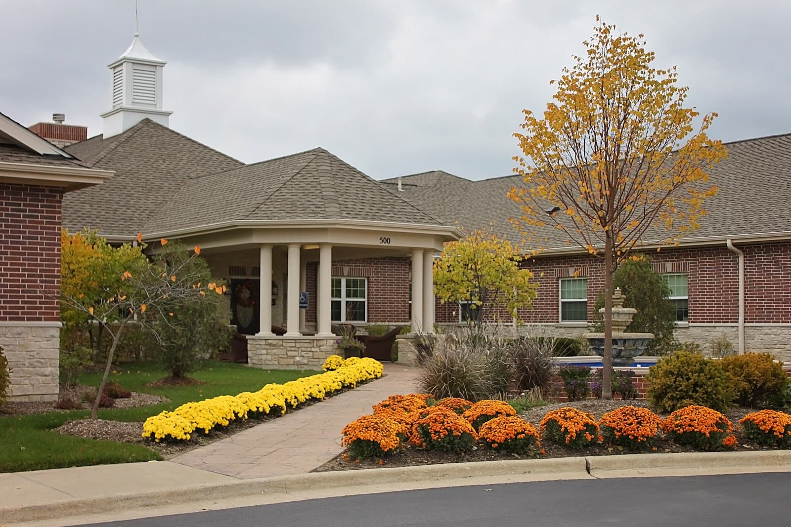 Autumn Leaves of Vernon Hills