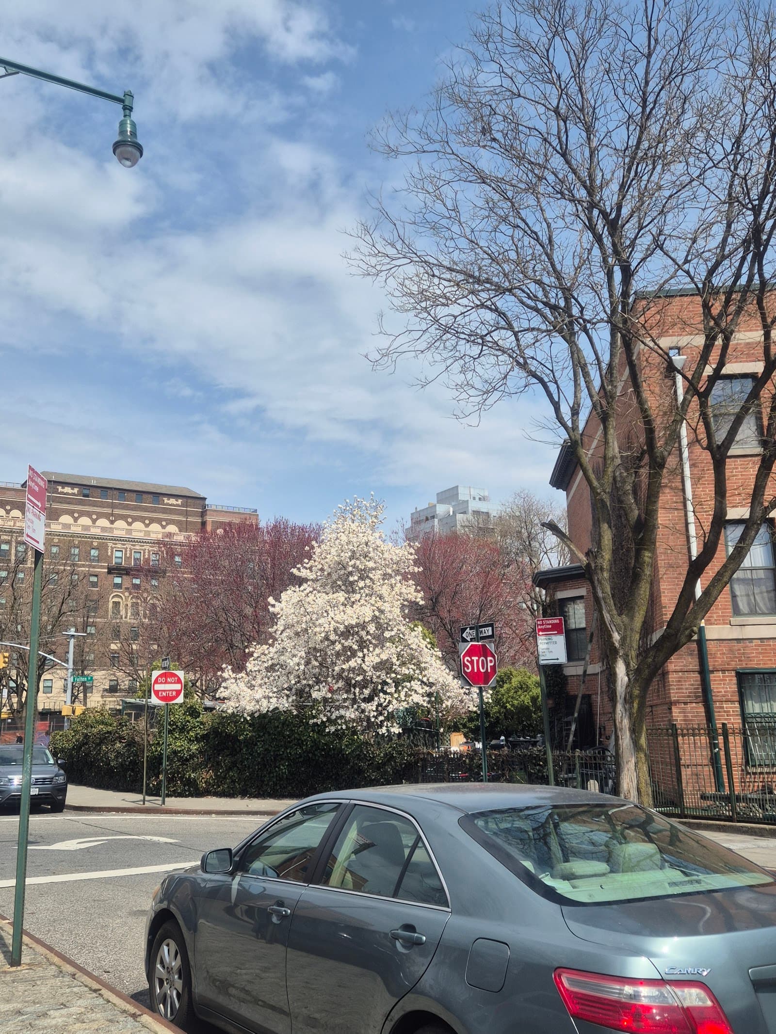 Cumberland Gardens NY Foundation EHP #6