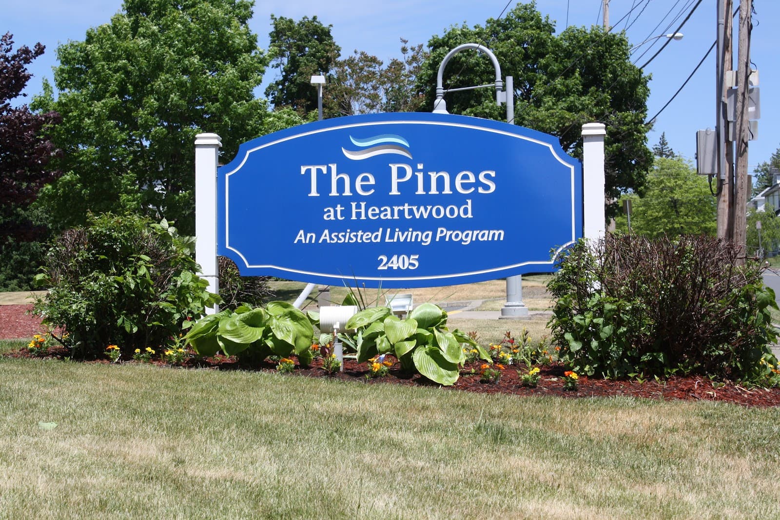 The Pines at Heartwood