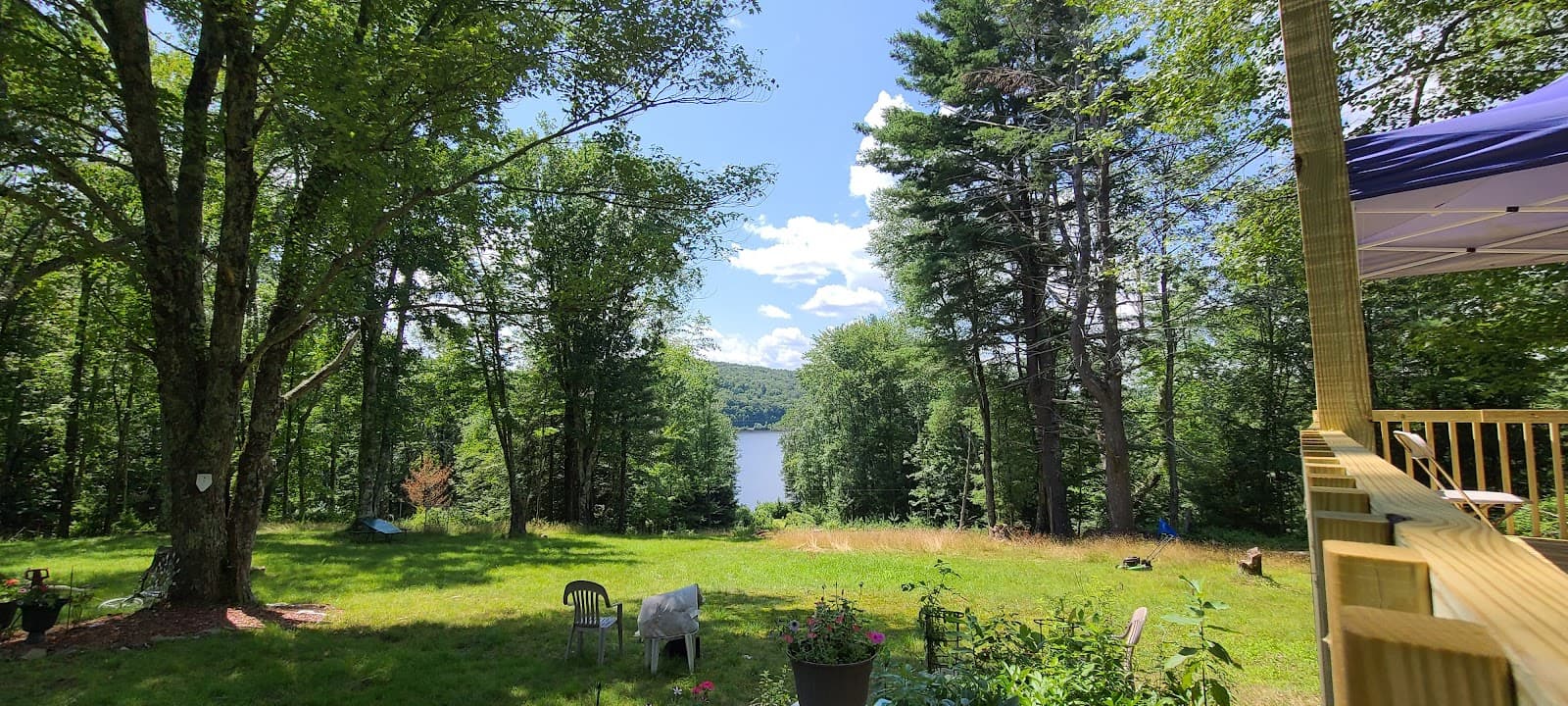 The New Swan Lake Adult Home
