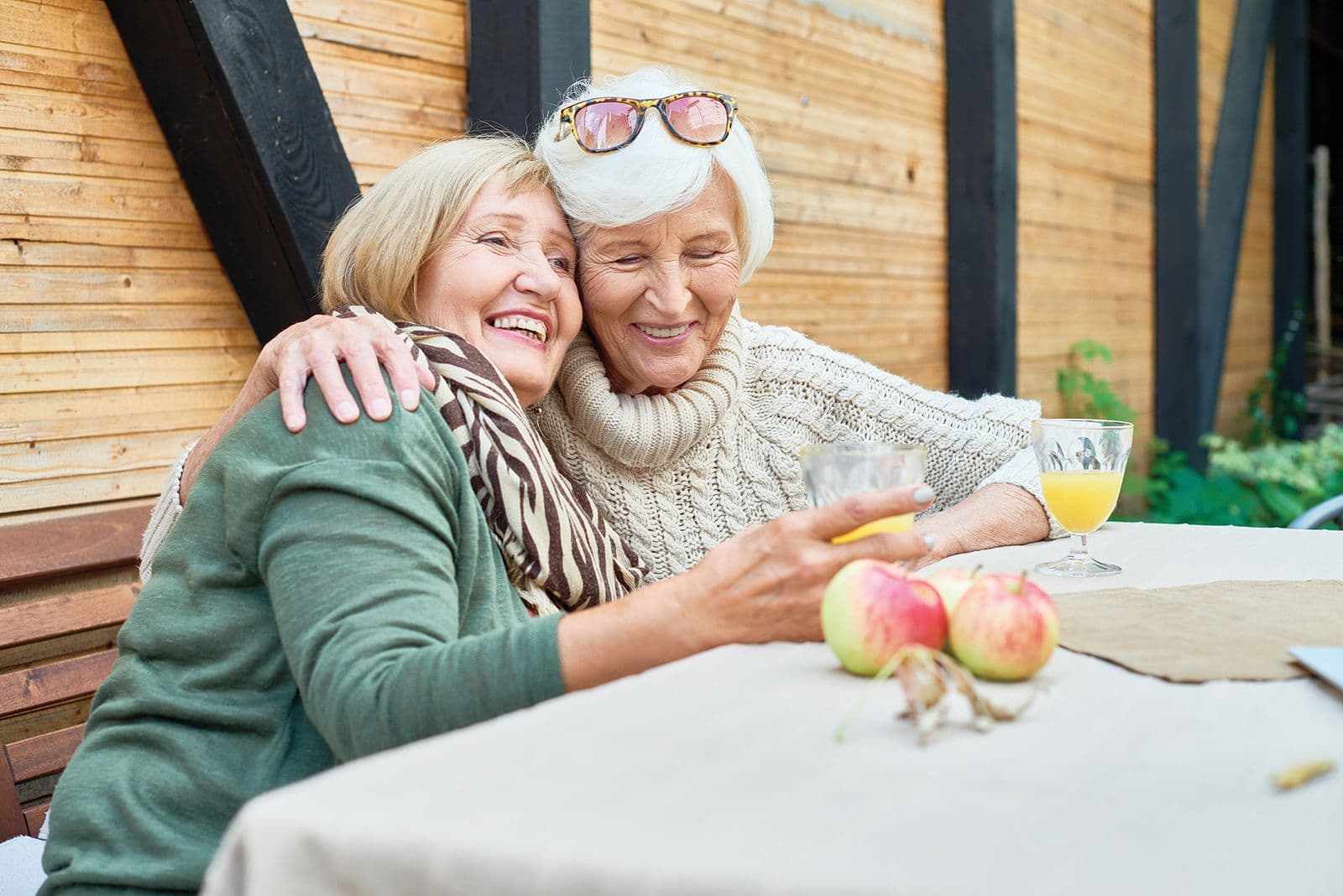 Seniors Helping Seniors Central Gwinnett and Northern Fulton Counties