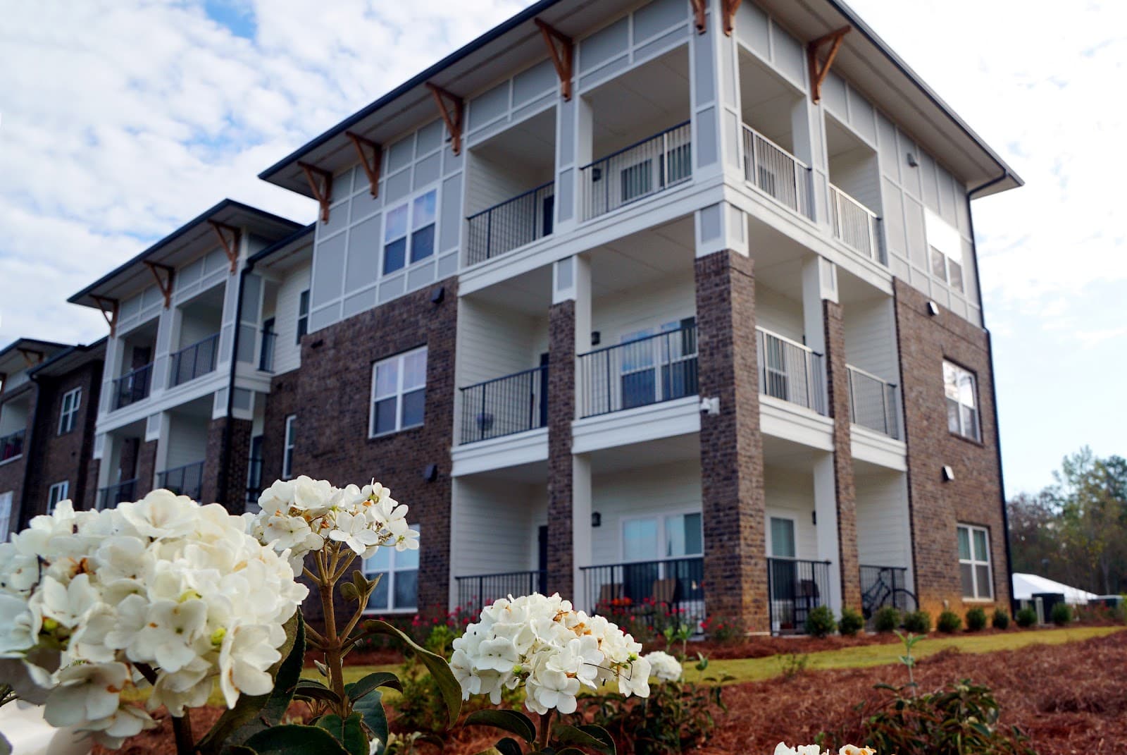 Brentwood Apartments (senior living)