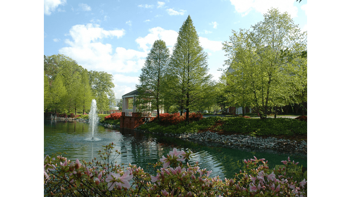 Royal Oaks