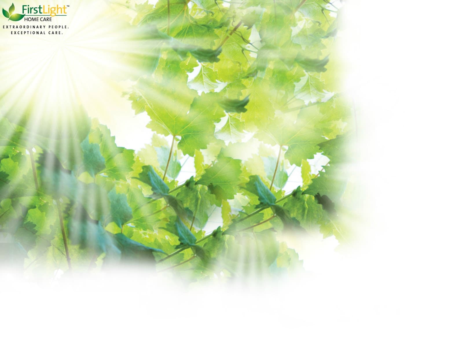 FirstLight Home Care of Clearwater