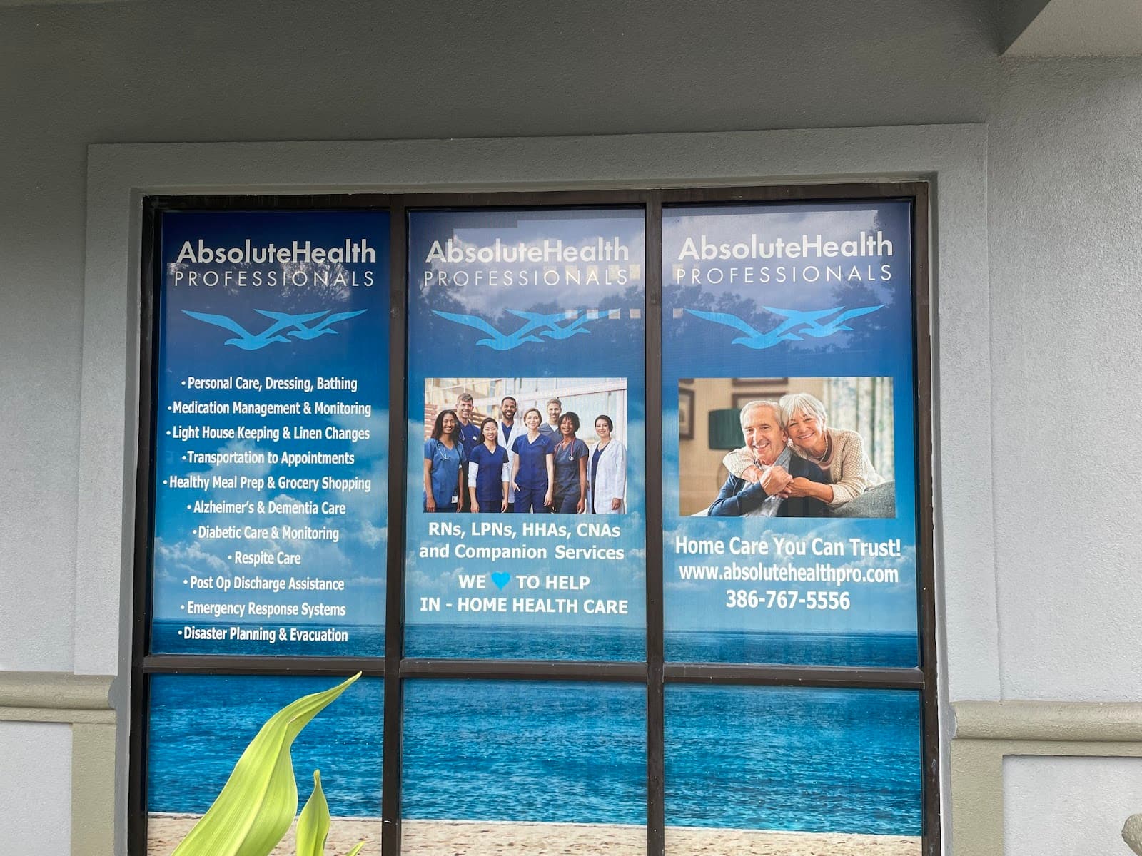 Absolute Health Professionals Inc.