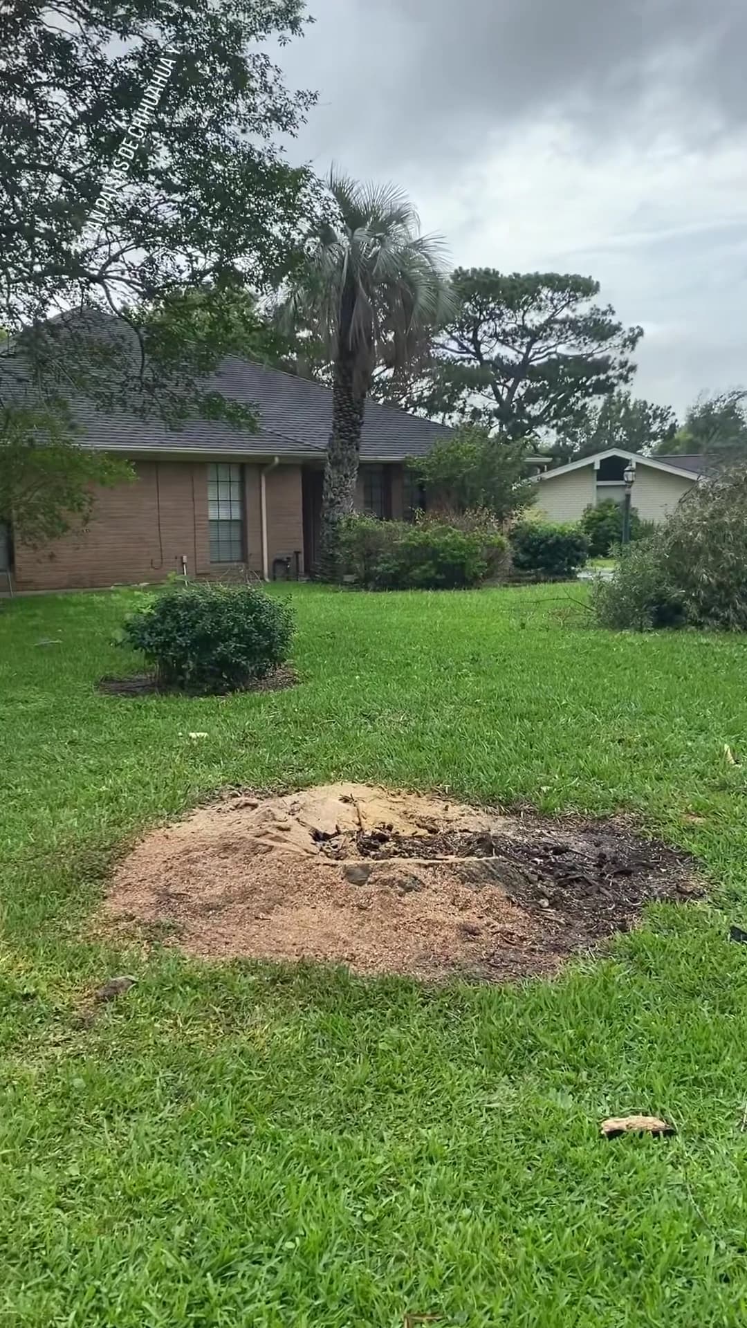 Special Texas Homes