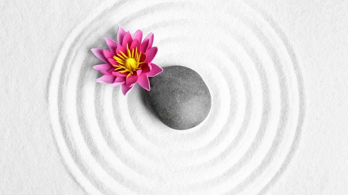 Ascend Hospice Care